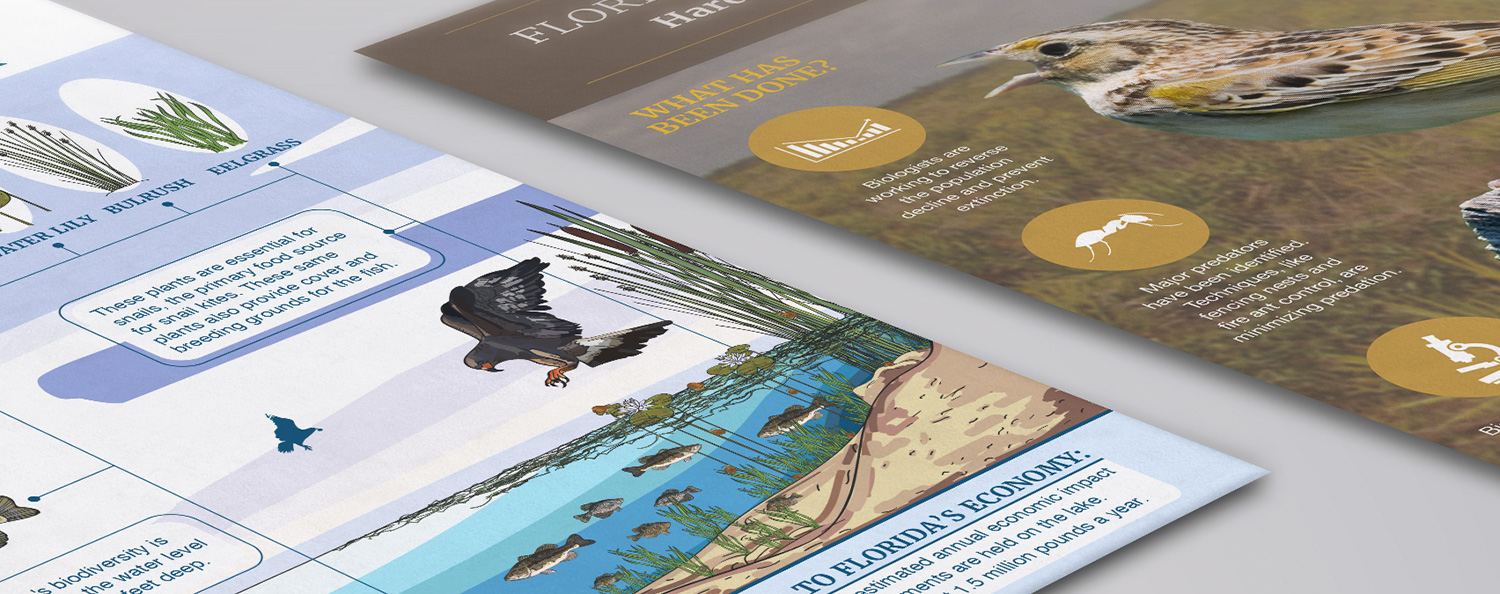 USFWS-1-web-edit Dynamic angle of two posters showcasing the aquatic ecosystem of the floridas' lake okeechobee