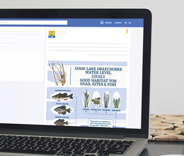 USFWS-3-edit-web
